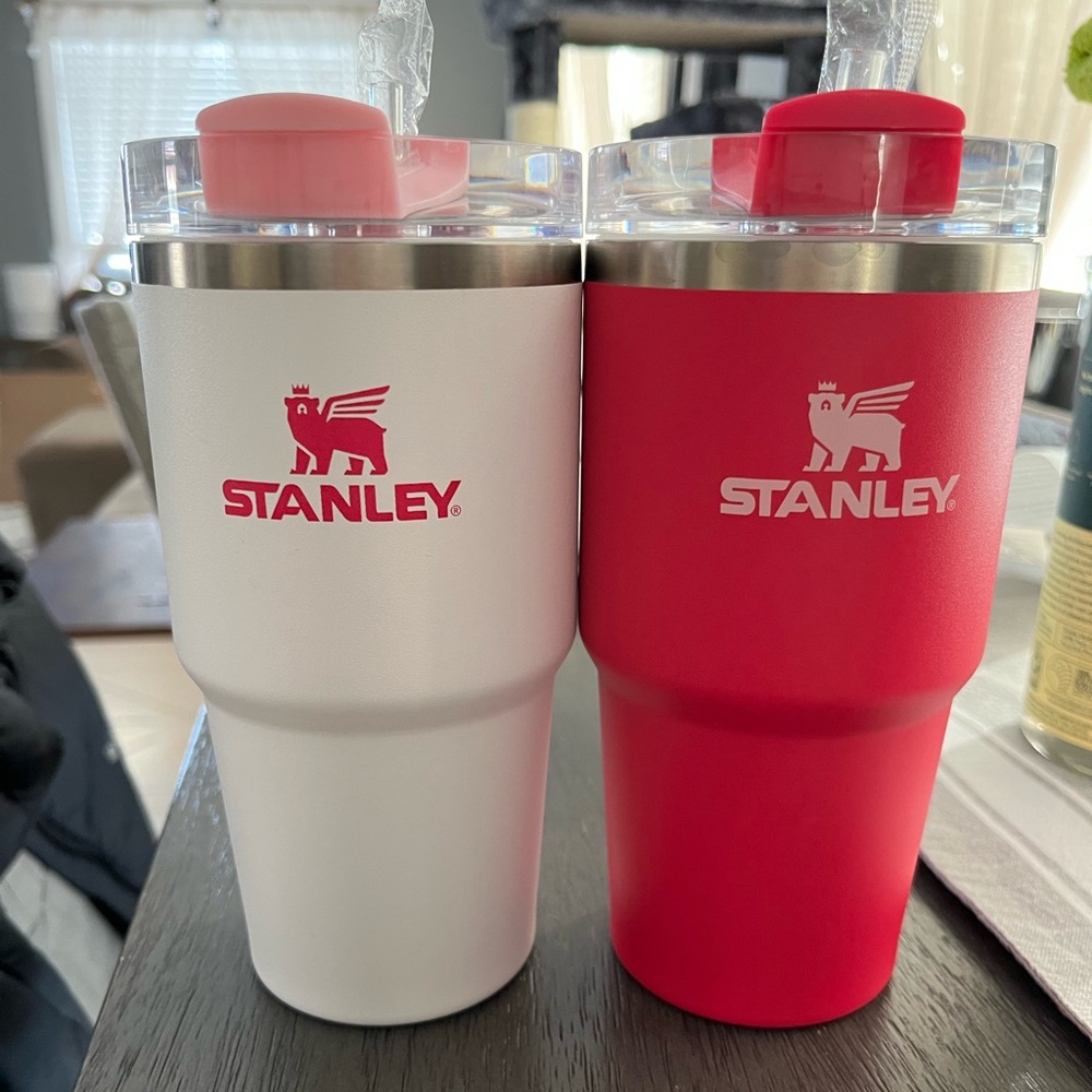 20oz Stanley Cups